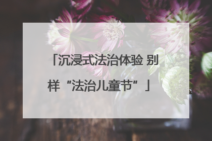 沉浸式法治体验 别样“法治儿童节”
